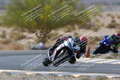 media/Apr-10-2022-SoCal Trackdays (Sun) [[f104b12566]]/Turn 5 Tree of Life (1040am)/